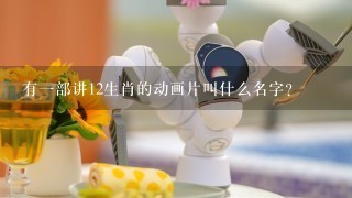 有1部讲12生肖的动画片叫什么名字？