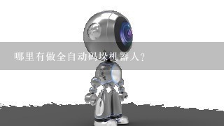 哪里有做全自动码垛机器人？