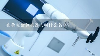 布鲁克紫色机器人叫什么名字？