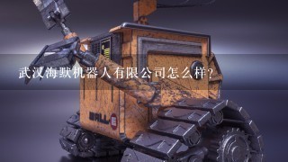 武汉海默机器人有限公司怎么样？