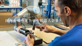 国内有哪些龙头工业机器人企业？