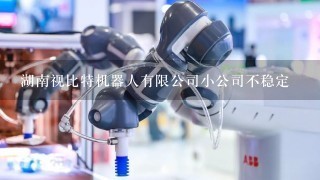 湖南视比特机器人有限公司小公司不稳定