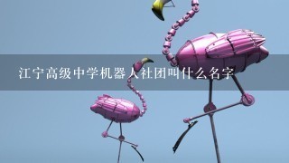 江宁高级中学机器人社团叫什么名字