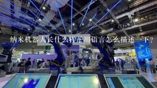 纳米机器人长什么样子用语言怎么描述1下？