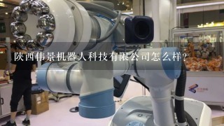 陕西伟景机器人科技有限公司怎么样？