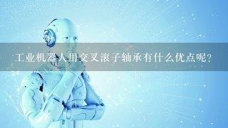 工业机器人用交叉滚子轴承有什么优点呢？