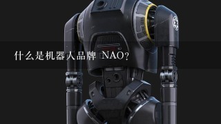 什么是机器人品牌 NAO?